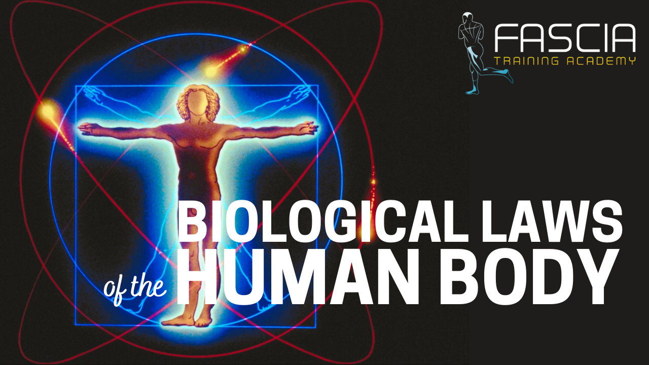 Οι βιολογικοί νόμοι του ανθρώπινου σώματος