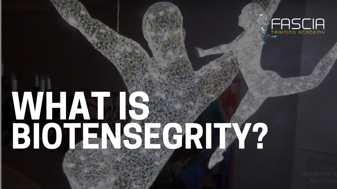 What is Biotensegrity?
