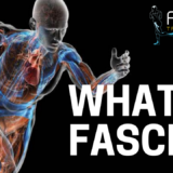 What is Fascia?