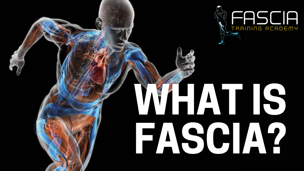 Τι είναι η fascia