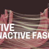 Active vs. Inactive Fascia