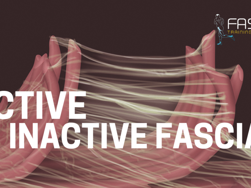 Active vs. Inactive Fascia