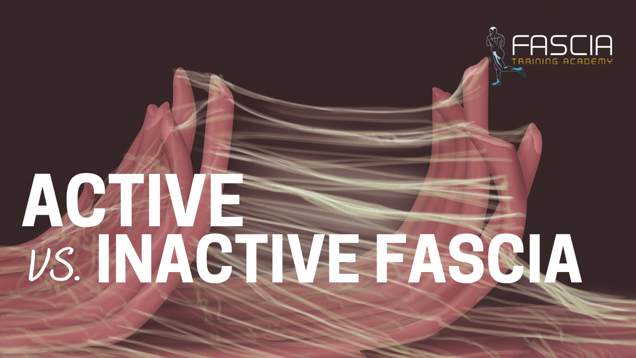 Active vs. Inactive Fascia