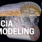Fascia Remodeling