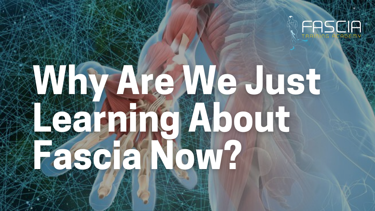 Why Are We Just Learning About Fascia Now FASCIA TRAINING ACADEMY