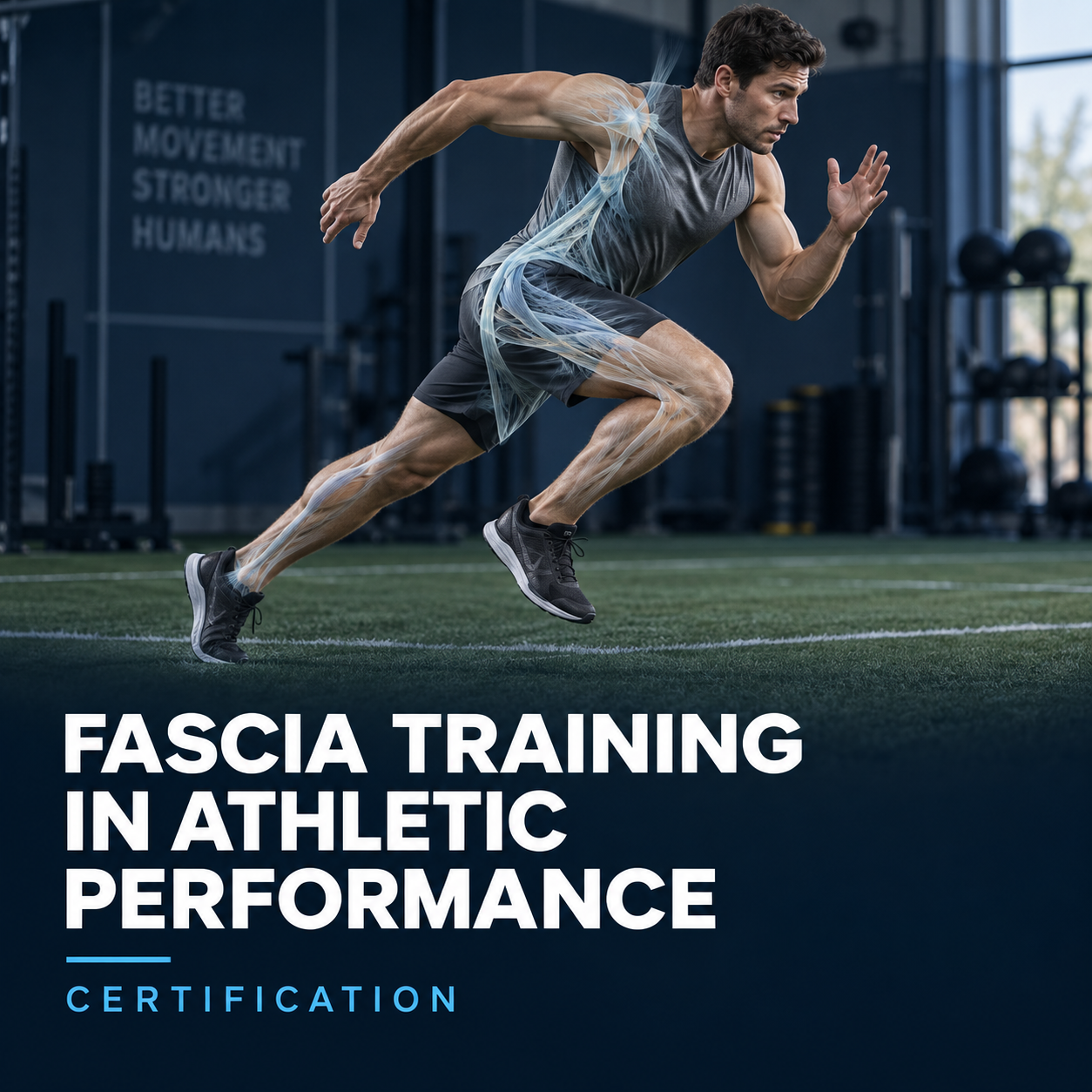 Fascia Training in Athletic Performance Certification