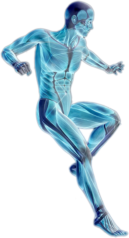https://fasciatrainingacademy.com/wp-content/uploads/2026/06/space-man.png