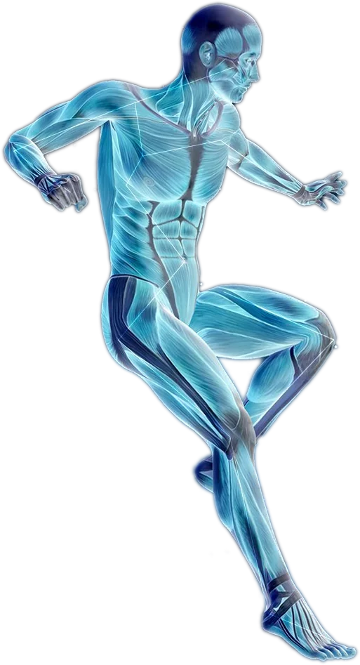 Blue man with the fascia system diagramed over his body Blue man with the fascia system diagramed over his body