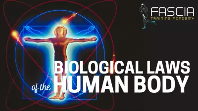 Biological Laws of the Human Body