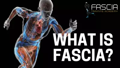What is Fascia?