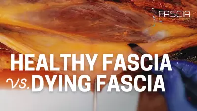 Healthy Fascia vs. Dying Fascia