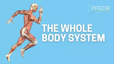 The Whole Body System