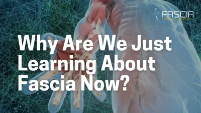 Why are We Just Learning About Fascia Now?