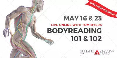 BodyReading 101 + 102 Live Online w/ Tom Myers
