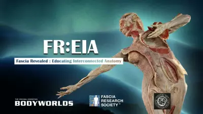 FR:EIA 3D Human Fascia Plastinate @ FRC 2022